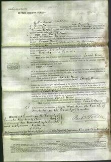 Court of Common Pleas - Sarah Ann Bream-Original Ancestry