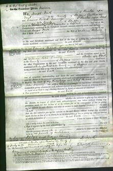 Court of Common Pleas - Edith Holmes-Original Ancestry