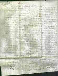 Court of Common Pleas - Sarah Cross and Mary Tyrrell-Original Ancestry