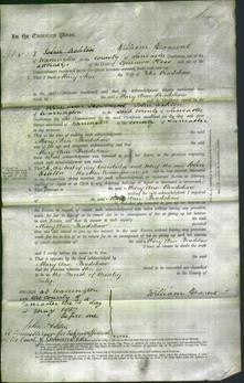 Court of Common Pleas - Mary Ann Bradshaw-Original Ancestry