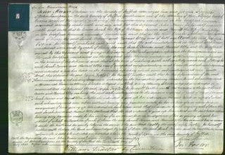 Court of Common Pleas - Sarah Turner and Harriot Ellis-Original Ancestry