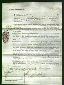 Court of Common Pleas - Orrilla Georgiana Ellice Breunning-Original Ancestry