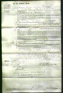 Court of Common Pleas - Charlotte Henderson-Original Ancestry