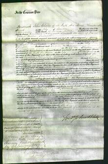 Court of Common Pleas - Caroline Margaret Lawrell-Original Ancestry