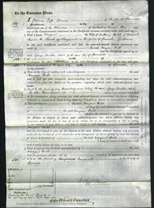 Court of Common Pleas - Margaret Bubb-Original Ancestry