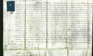 Court of Common Pleas - Prudence Beech-Original Ancestry