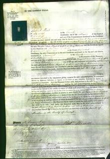 Court of Common Pleas - Margaret Owen, Elizabeth Griffiths and Mary Williams-Original Ancestry