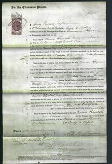 Court of Common Pleas - Frances Elizabeth Mary Ann Vincent-Original Ancestry