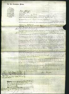 Court of Common Pleas - Susanna Nightingale-Original Ancestry