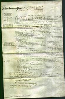 Court of Common Pleas - Agnes Eliza Pardoe-Original Ancestry