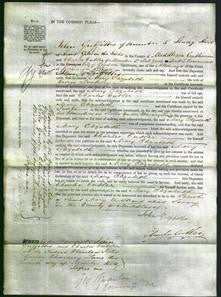 Court of Common Pleas - Mary Elizabeth Buckley-Original Ancestry