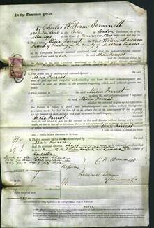 Court of Common Pleas - Alicia Forrest-Original Ancestry