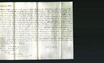 Court of Common Pleas - Sarah Harrison-Original Ancestry