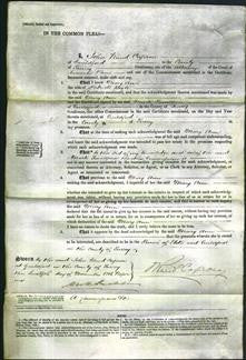 Court of Common Pleas - Mary Ann Boyle-Original Ancestry