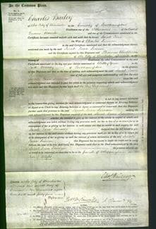 Court of Common Pleas - Sarah Jane Simeon-Original Ancestry