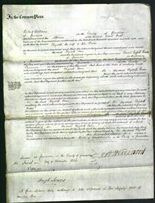 Court of Common Pleas - Elizabeth Owen-Original Ancestry