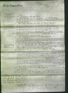 Court of Common Pleas - Martha Hanford-Original Ancestry