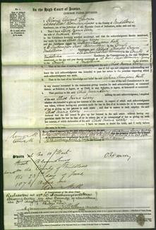 Court of Common Pleas - Alice Maria Leary-Original Ancestry