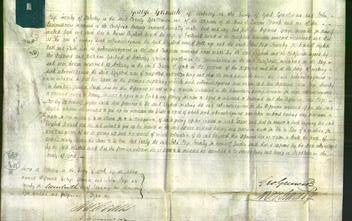 Court of Common Pleas - Elizabeth Arnett-Original Ancestry