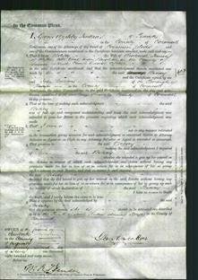 Court of Common Pleas - Betsey James-Original Ancestry