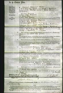 Court of Common Pleas - Susanna Chapman and Sarah Jane Codden-Original Ancestry