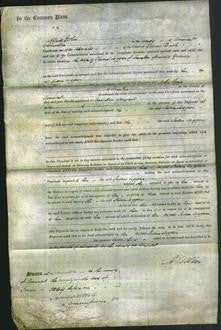 Court of Common Pleas - Susan Coggan-Original Ancestry