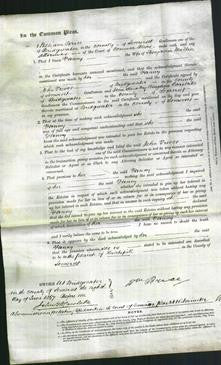 Court of Common Pleas - Fanny Millier-Original Ancestry