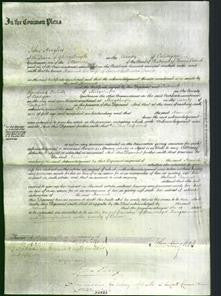 Court of Common Pleas - Hannah Morris-Original Ancestry