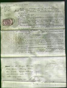 Court of Common Pleas - Rachel Davis-Original Ancestry