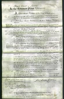 Court of Common Pleas - Sarah Emma Hodgson-Original Ancestry