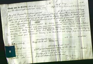Deed by Married Women - Ann Alcock-Original Ancestry