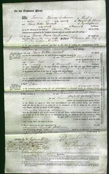 Court of Common Pleas - Henrietta Elizabeth Hickman Martin-Original Ancestry