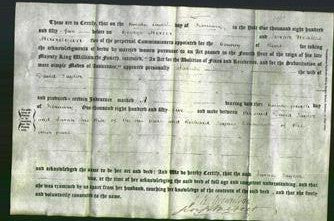 Deed by Married Women - Sarah Taylor-Original Ancestry