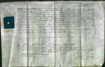 Court of Common Pleas - Martha Elizabeth Andrews-Original Ancestry