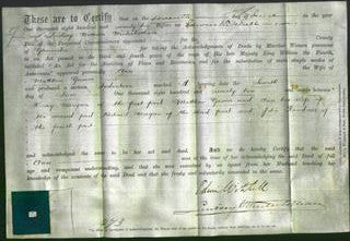 Deed by Married Women - Ann Gassor-Original Ancestry