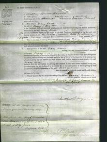 Court of Common Pleas - Mary Ann Brown-Original Ancestry