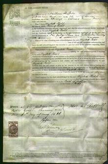 Court of Common Pleas - Elizabeth Field-Original Ancestry