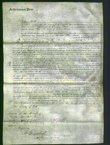 Court of Common Pleas - Ellen Smith-Original Ancestry