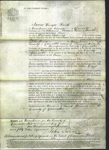 Court of Common Pleas - Ann Apperley-Original Ancestry