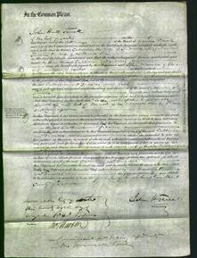 Court of Common Pleas - Catherine Majelli and Frances Perriam-Original Ancestry