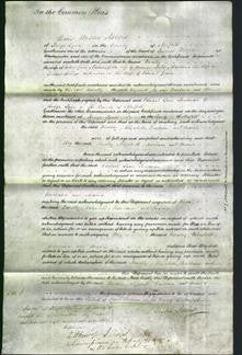 Court of Common Pleas - Dorothy Green, Elizabeth Mills and Barbara Hilling-Original Ancestry