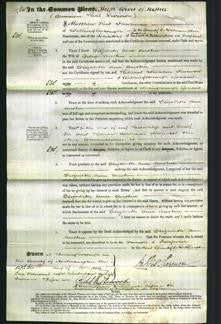 Court of Common Pleas - Elizabeth Anne Austin-Original Ancestry