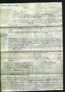 Court of Common Pleas - Mary Sykes-Original Ancestry