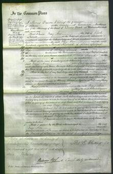 Court of Common Pleas - Mary Ann Turner-Original Ancestry