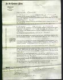 Court of Common Pleas - Rachel Taylor-Original Ancestry