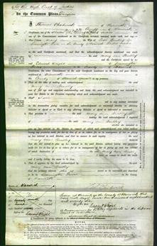 Court of Common Pleas - Mary Ann Bradley-Original Ancestry