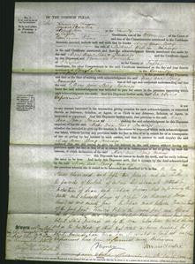 Court of Common Pleas - Mary Ann Spong Jennings-Original Ancestry