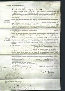 Court of Common Pleas - Matilda Nickoll-Original Ancestry