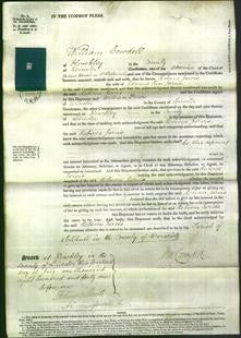 Court of Common Pleas - Rebecca Jarvis-Original Ancestry