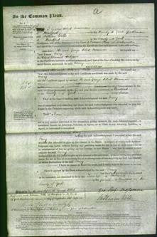 Court of Common Pleas - Mary Hodgson-Original Ancestry